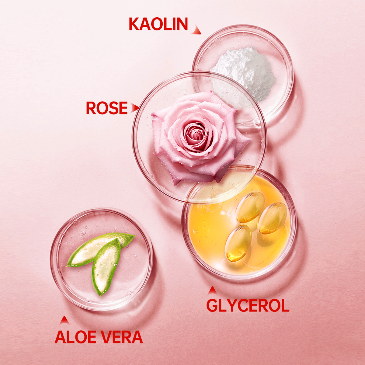 5g/0.18oz*10 Rose Cleansing Mu - Mud Mask Kaolin reseña y precio